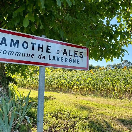 Gite Confort A Lamothe D Ales Lavergne  Exterior foto